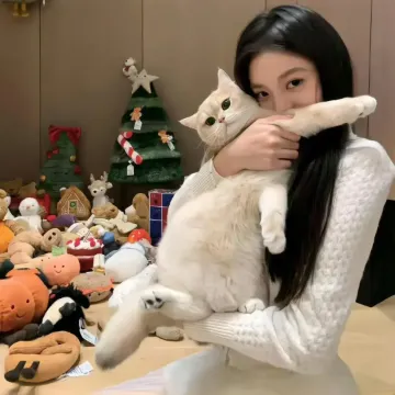 白夜